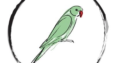 THE PARAKEET